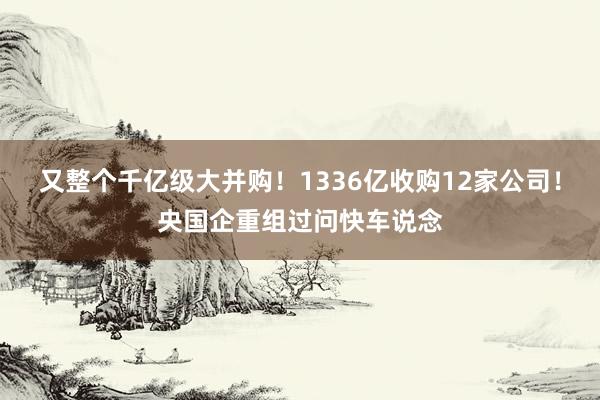 又整个千亿级大并购！1336亿收购12家公司！央国企重组过问快车说念